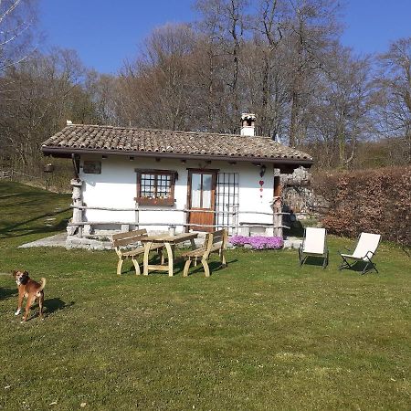 Baita Tana Da L'Ors Vila Forgaria nel Friuli Exterior foto