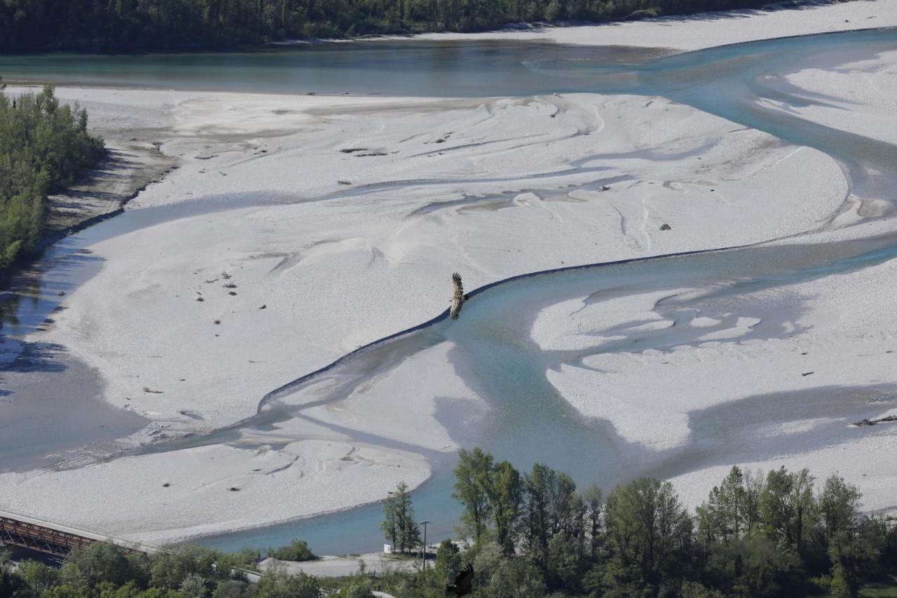 Baita Tana Da L'Ors Vila Forgaria nel Friuli Exterior foto