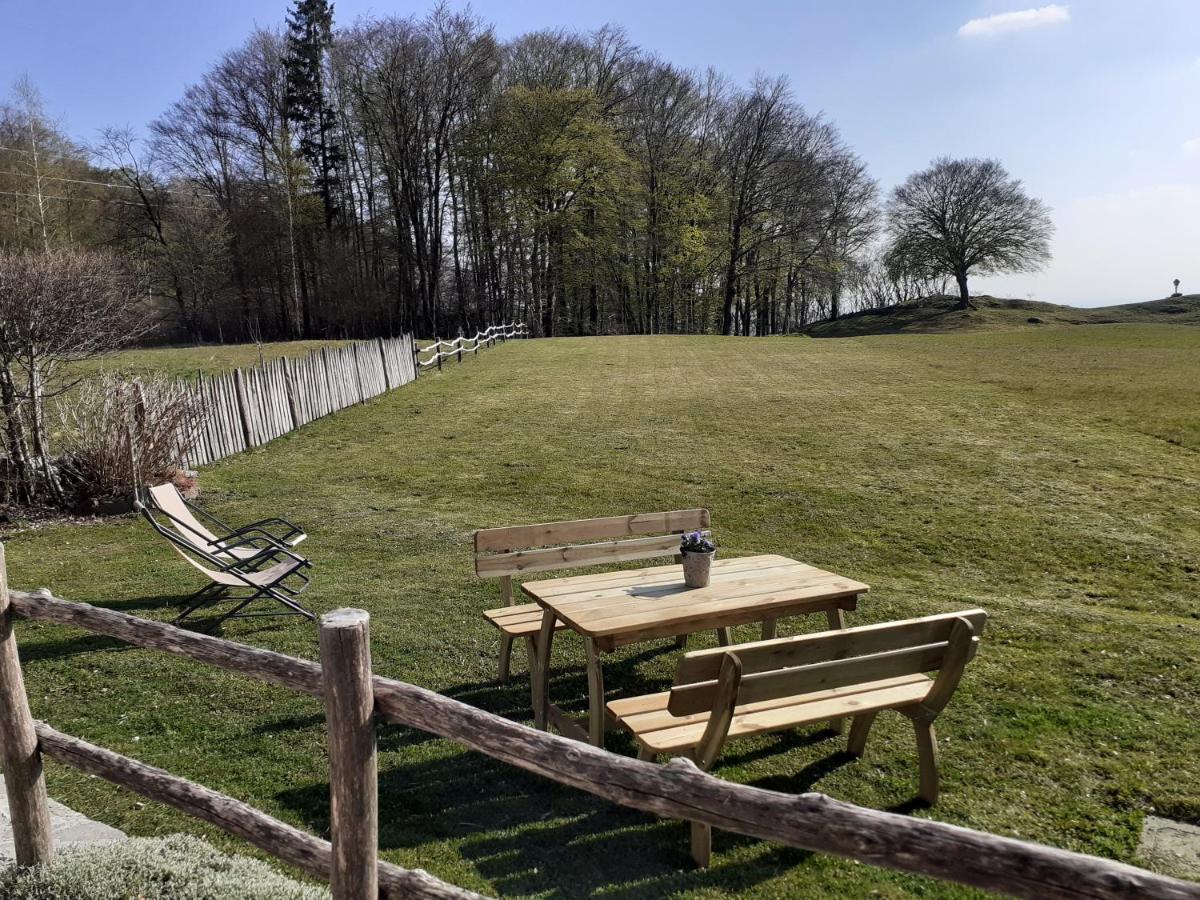 Baita Tana Da L'Ors Vila Forgaria nel Friuli Exterior foto