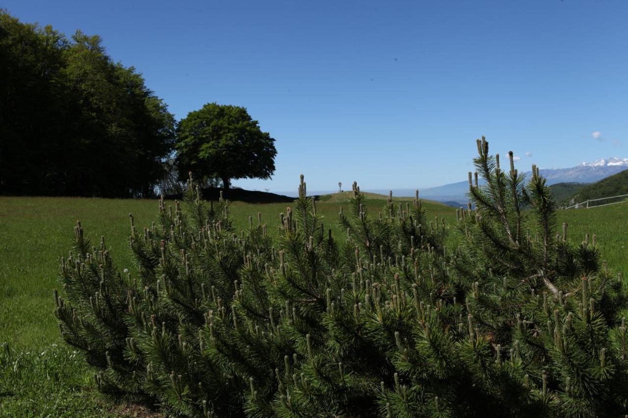 Baita Tana Da L'Ors Vila Forgaria nel Friuli Exterior foto