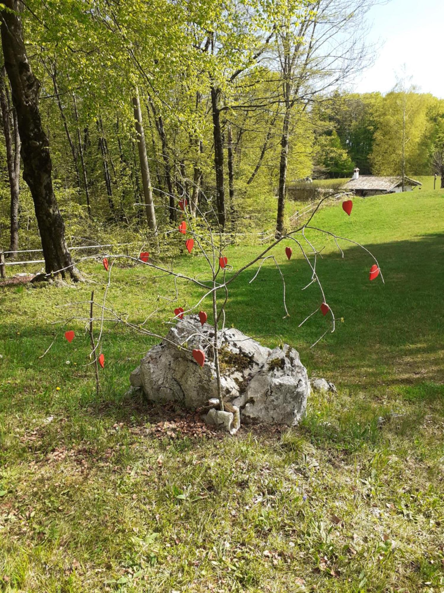 Baita Tana Da L'Ors Vila Forgaria nel Friuli Quarto foto